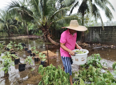 ช่วยเหลือผู้ประสบอุทกภัยน้ำท่วม พารามิเตอร์รูปภาพ 1