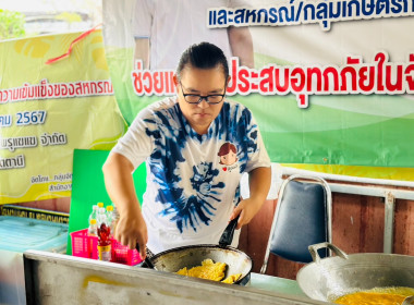 ช่วยเหลือผู้ประสบอุทกภัยน้ำท่วม พารามิเตอร์รูปภาพ 4