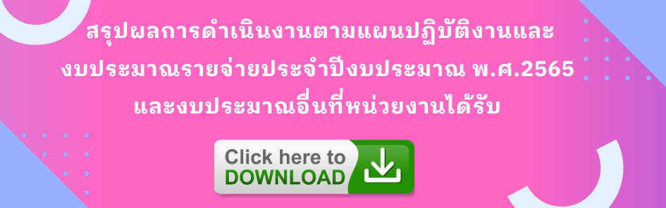 สรุปผลการปฏิบัติงาน 65