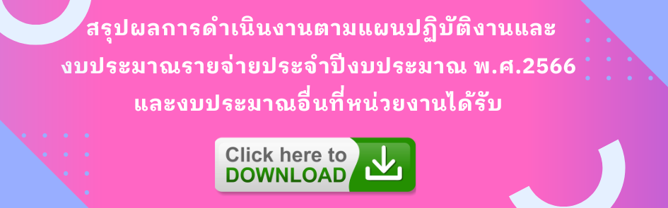 สรุปผลการปฏิบัติงาน 66