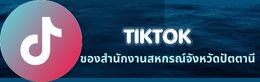 tiktok cpd pattani