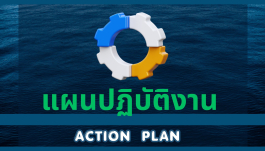แผนปฏิบัติงาน Action plan