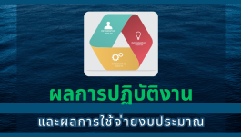 ผลการปฏิบัติงานและผลการใช้จ่าย