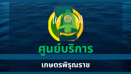 ศูนย์บริการพิรุณราช